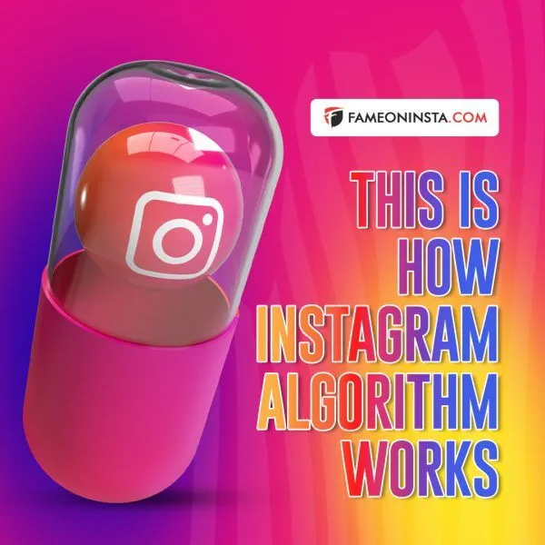 This Is How Instagram Algorithm Works